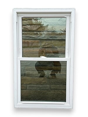 Advanced Vinyl Double Hung Window (27.125 x 44.750)